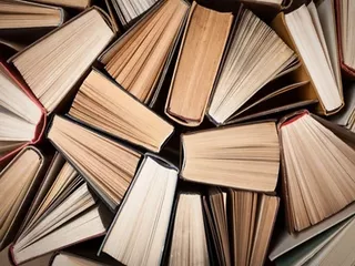 Image showing 12 books from above